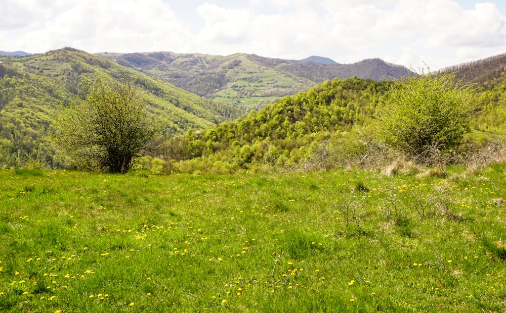 green grass field near green mountains during daytime