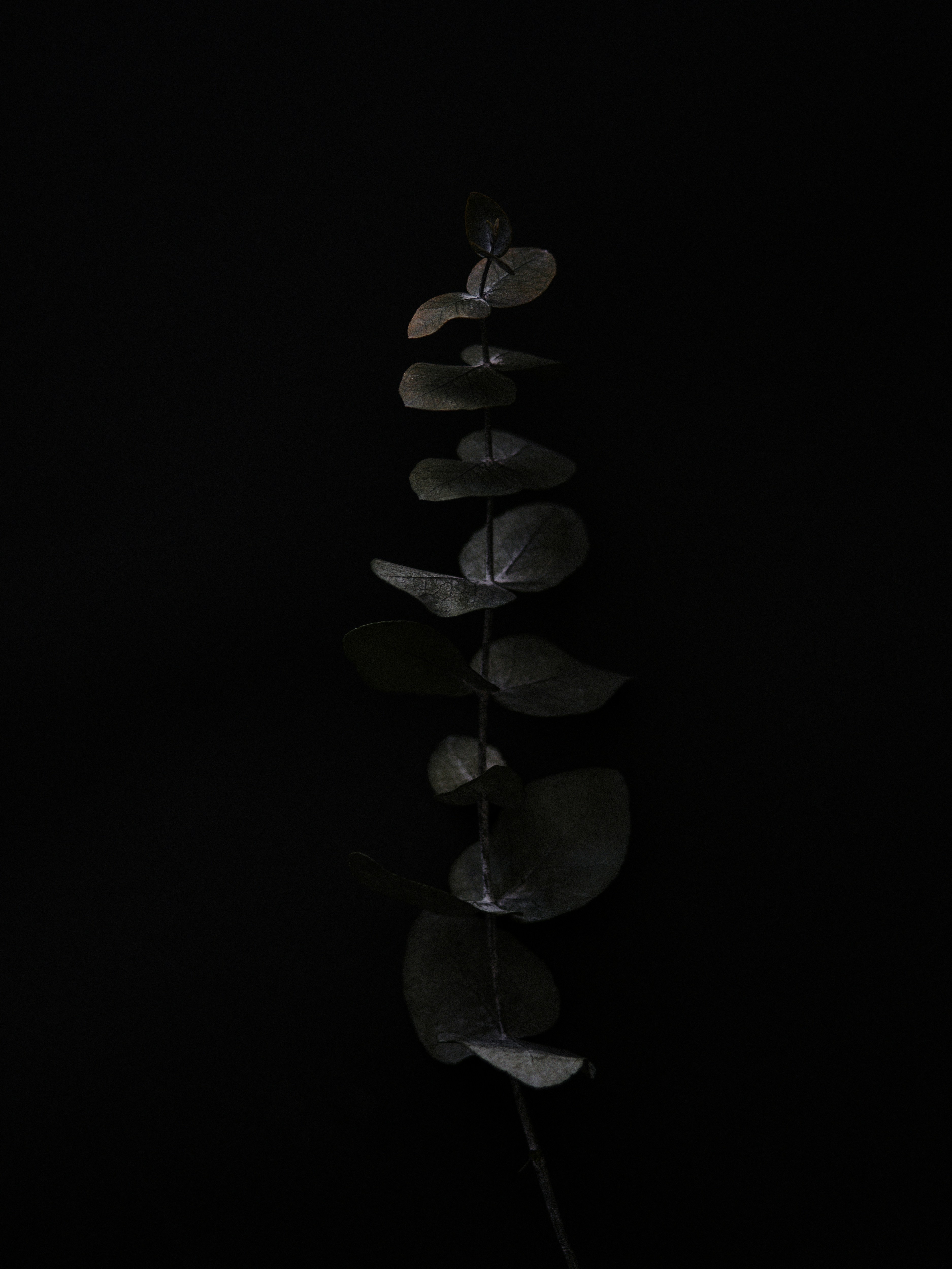 Les différentes formes de bore-out