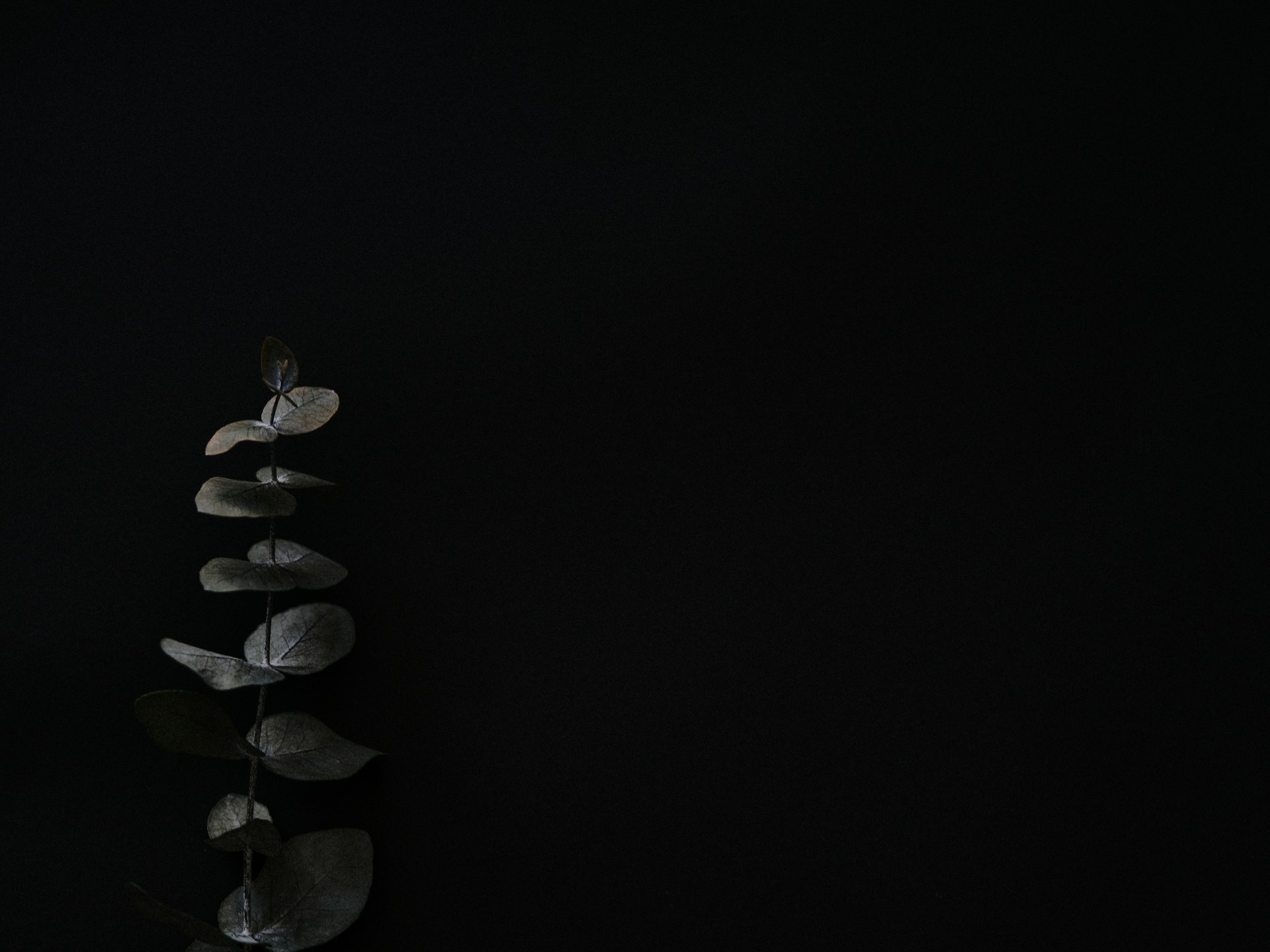 gray computer monitor