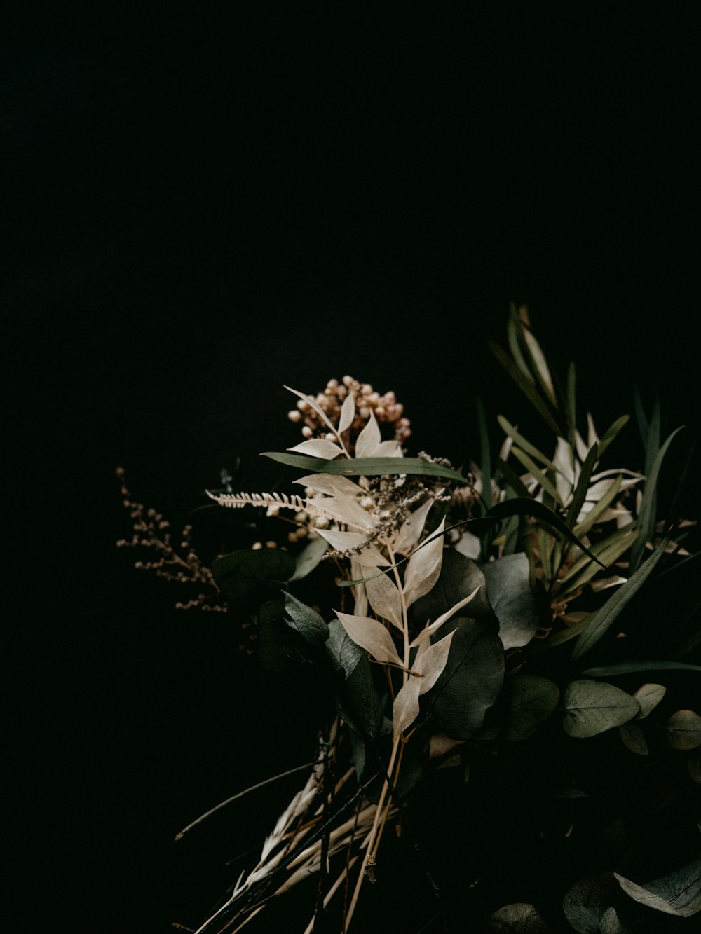 white flowers with green leaves