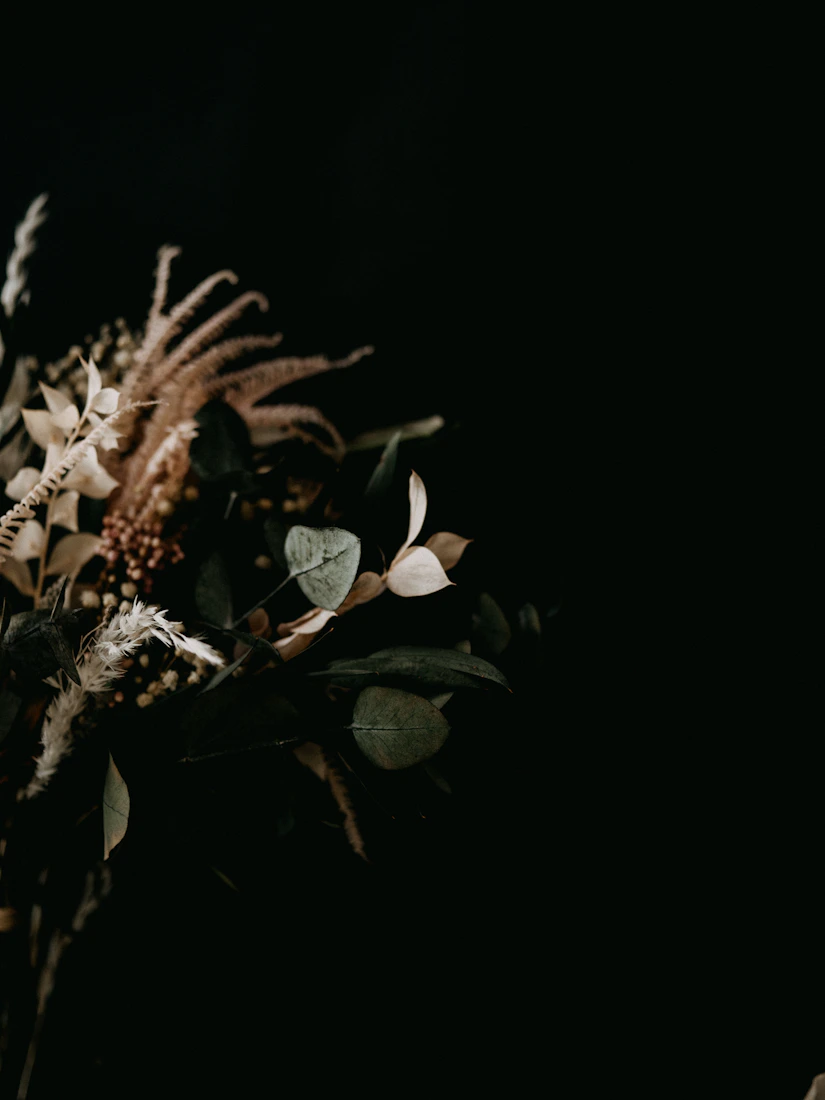 Soft Florals