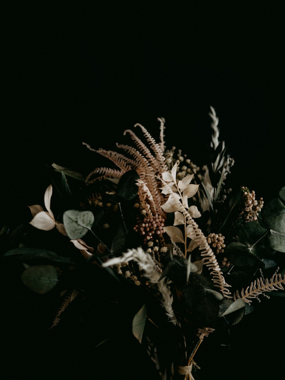 brown plant with green leaves