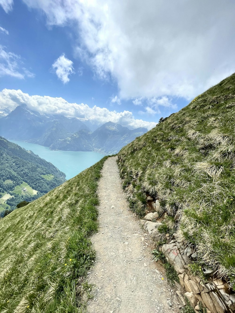 Grünes Grasfeld und Berge unter blauem Himmel tagsüber