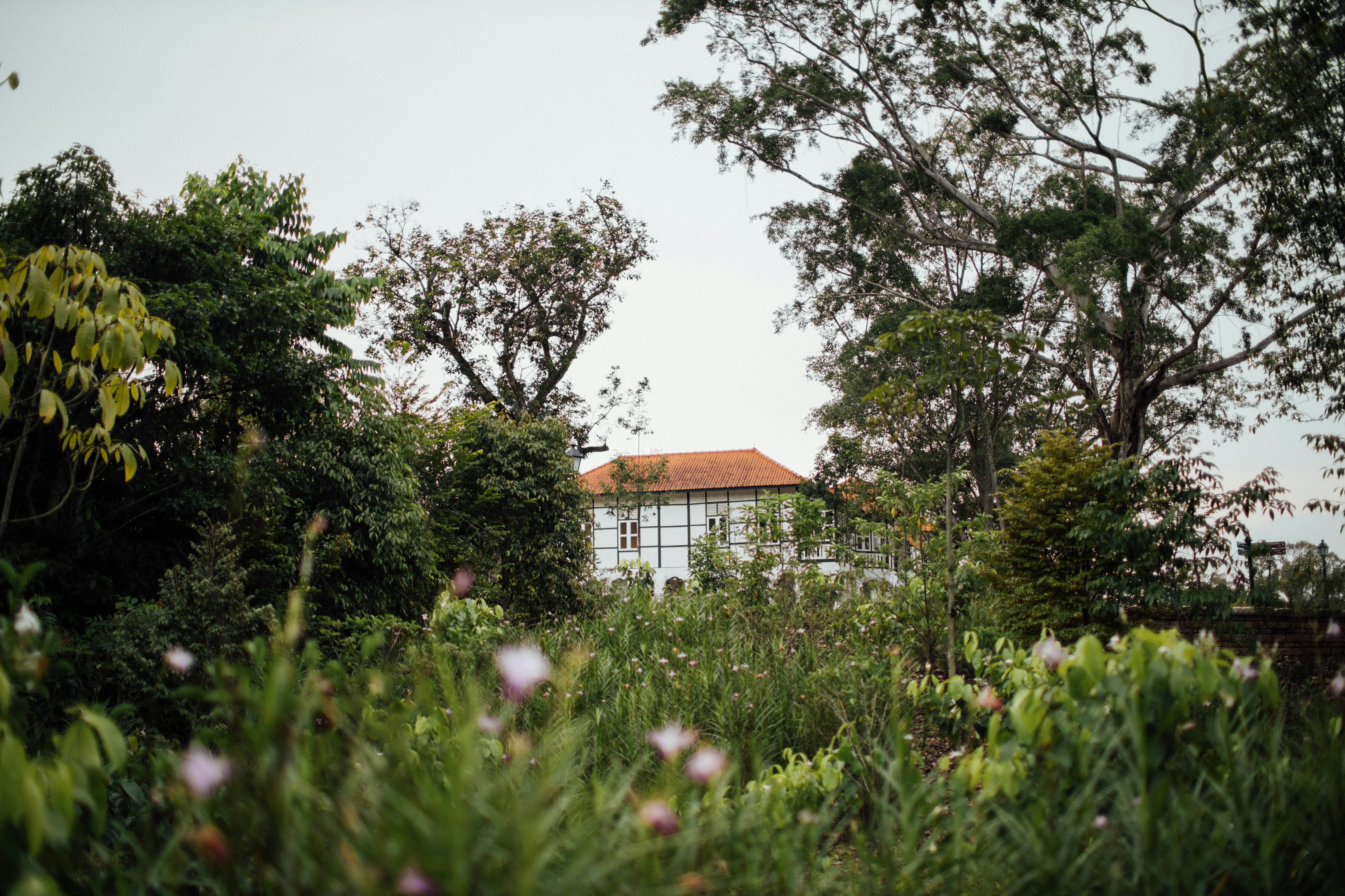 brown and white house surrounded by green trees under white sky during daytime
