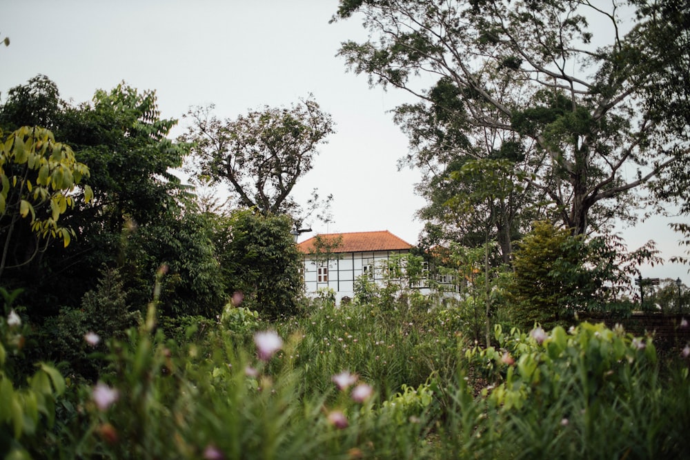 brown and white house surrounded by green trees under white sky during daytime