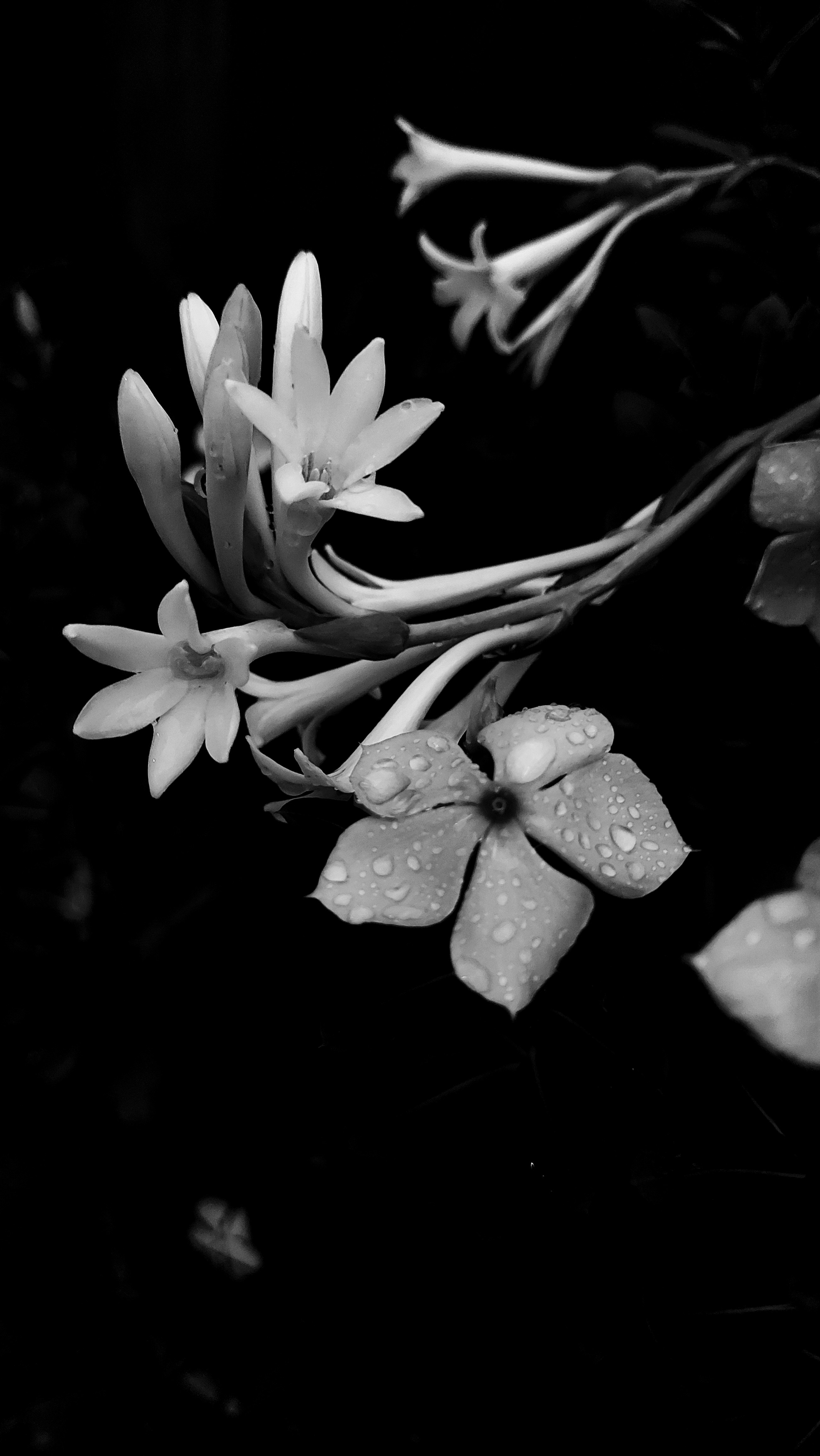 Photo by ni9jamonkey