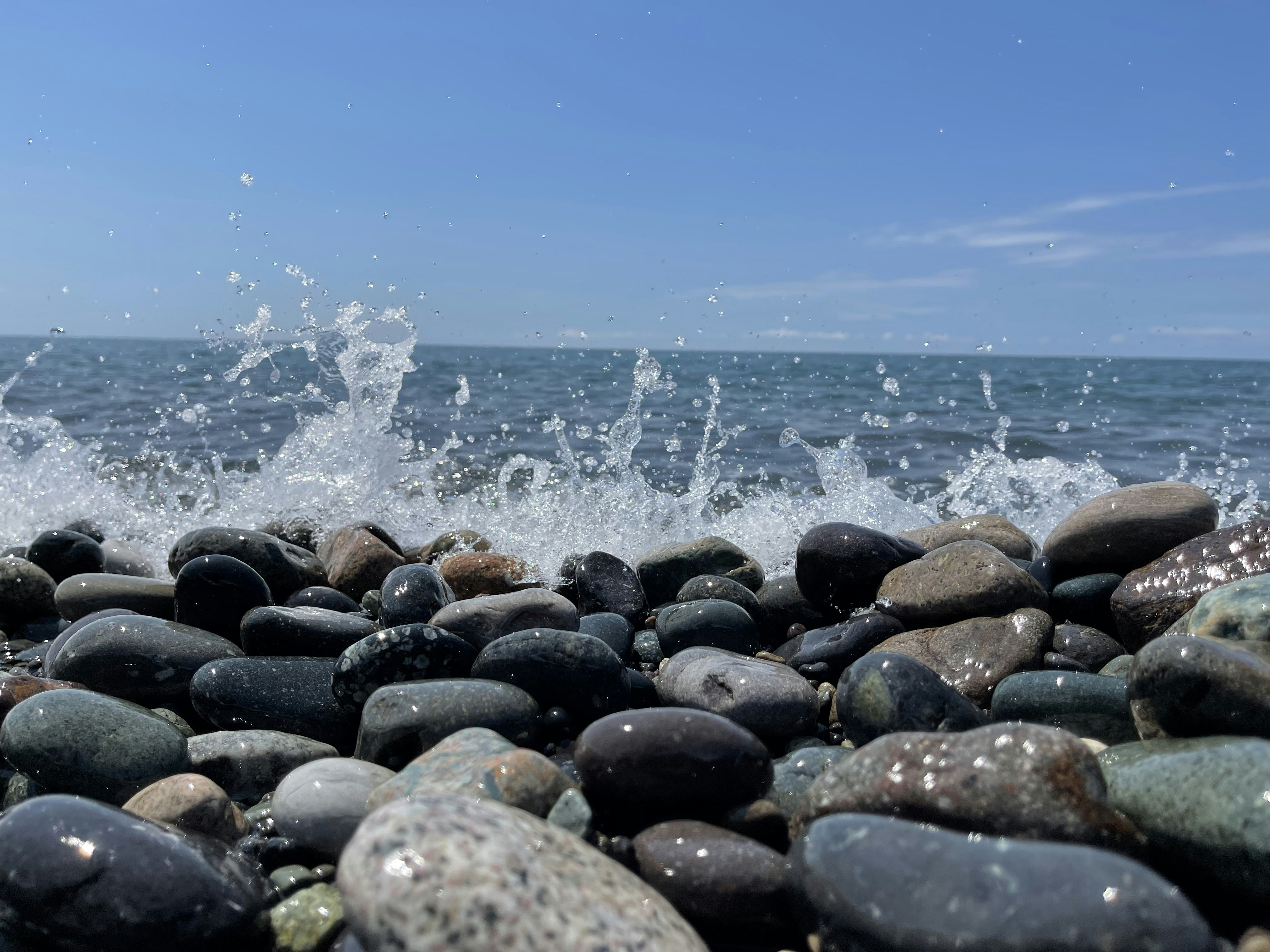 Photo by a_cut_above