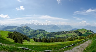 green trees on green grass field under white clouds and blue sky during daytime