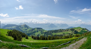 green trees on green grass field under white clouds and blue sky during daytime