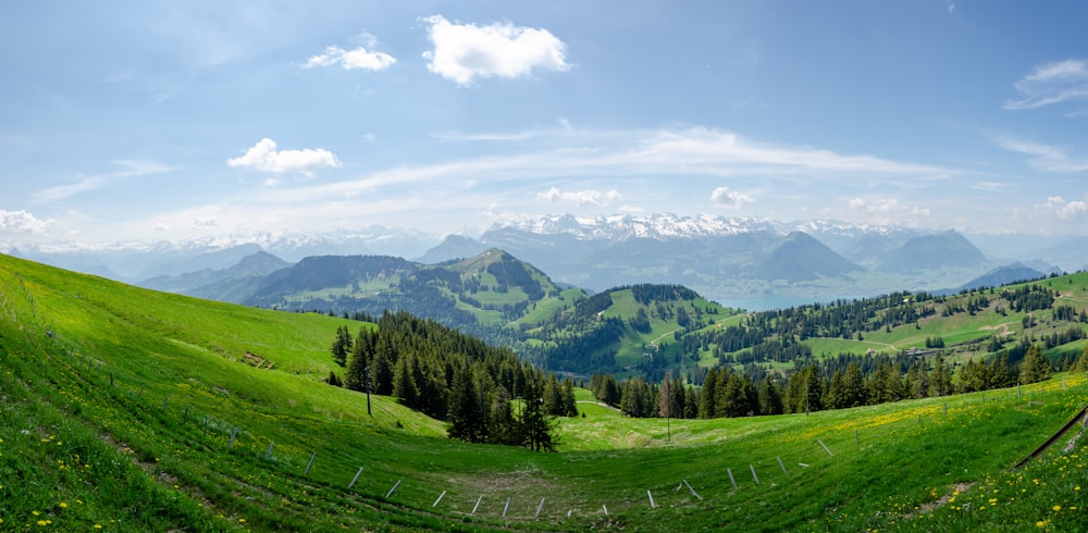 green trees on green grass field under white clouds and blue sky during daytime