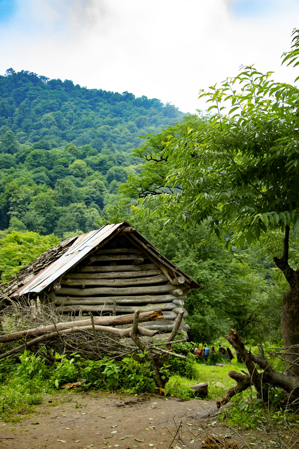 brown wooden house on green grass field near green trees during daytime