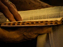 Close-up of hands holding an open hardcover book with soft natural light.