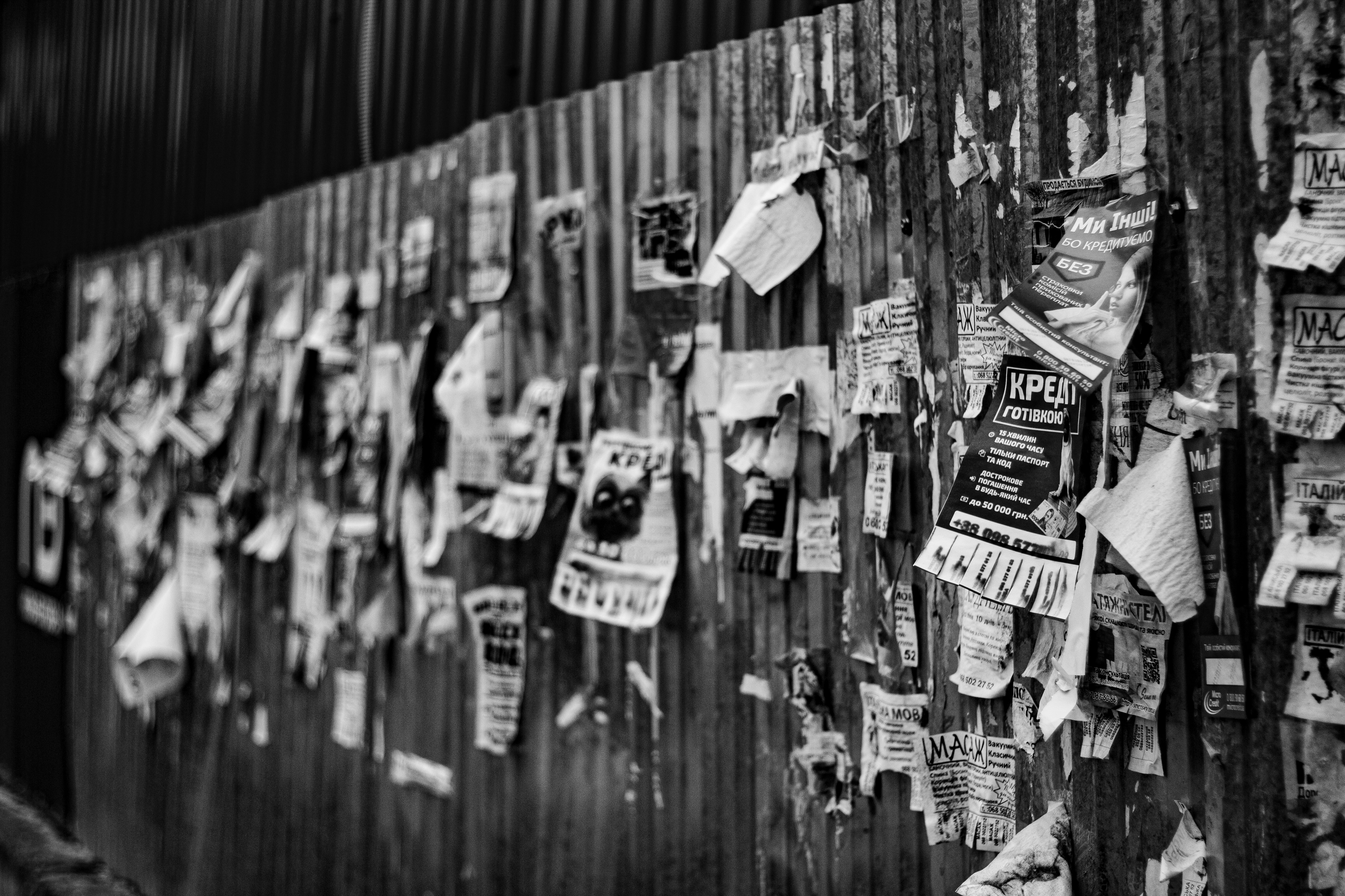 Photo by nocturnal_corvus