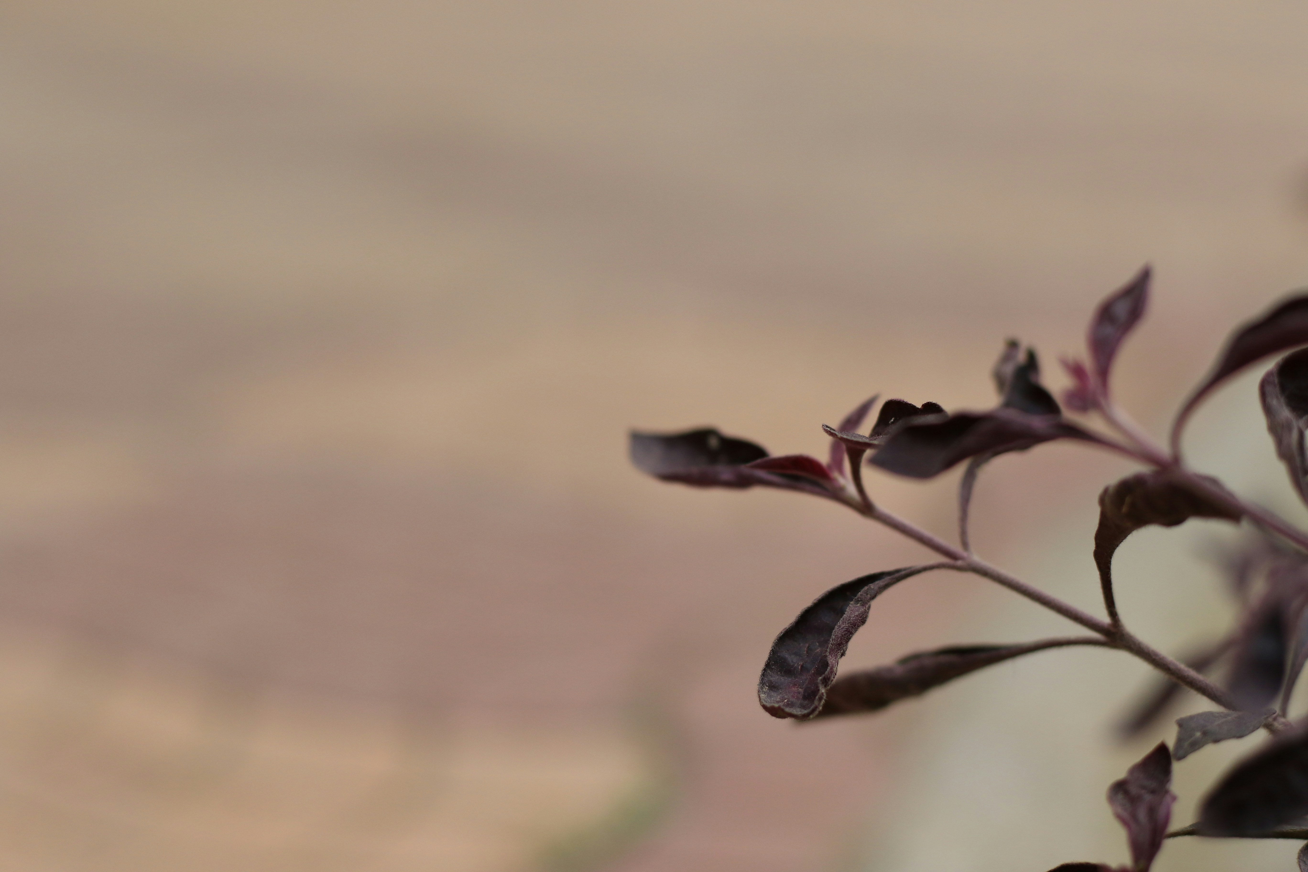 Photo by harpreetkaka