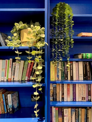 blue and white flowers on blue wooden book shelf