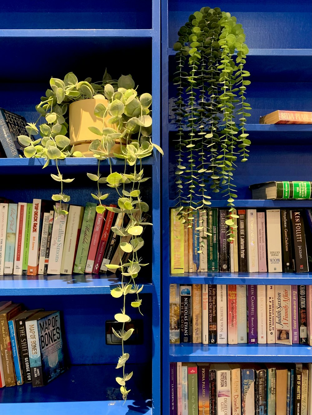 flores azules y blancas en estantería de libros de madera azul