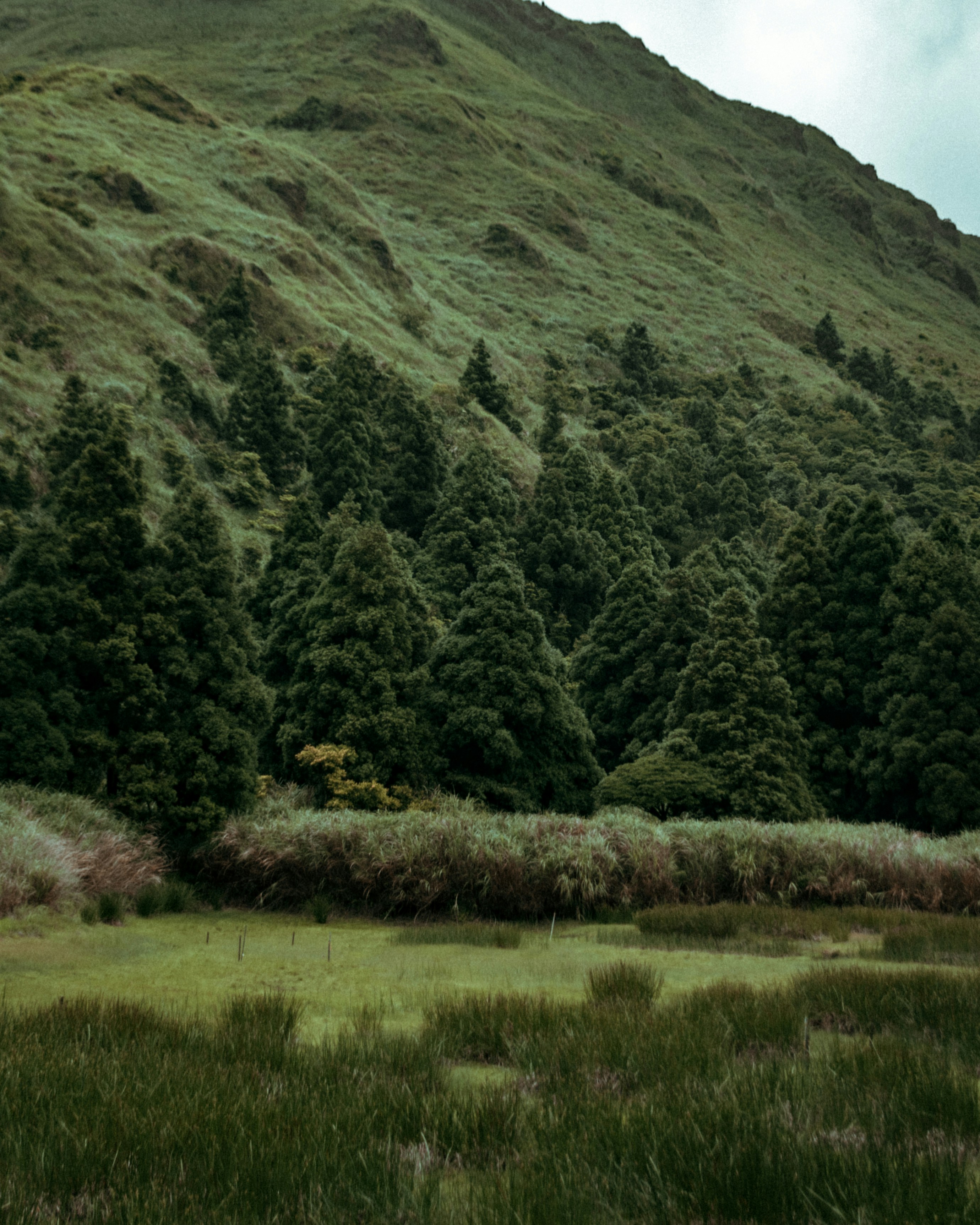 Hobbiton Movie Set - Central North Island of New Zealand