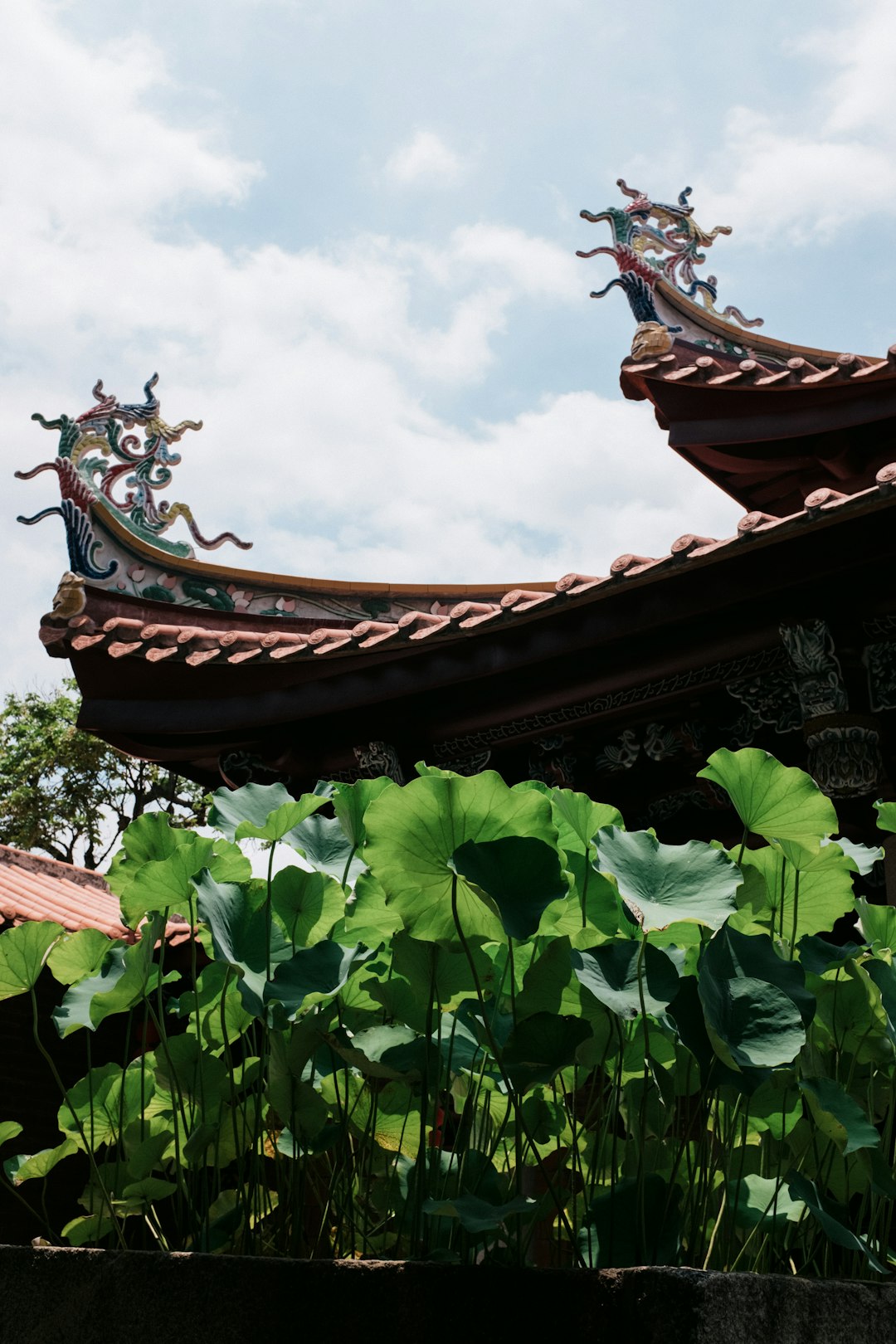 brown roof under white clouds during daytime