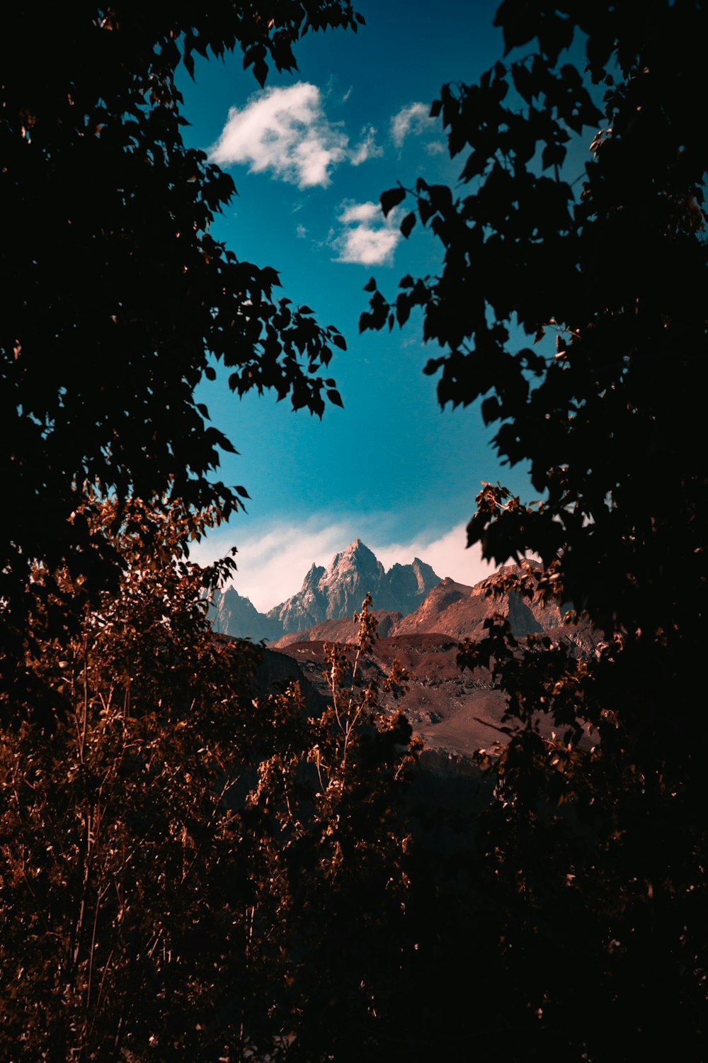 green trees near mountain under white clouds and blue sky during daytime