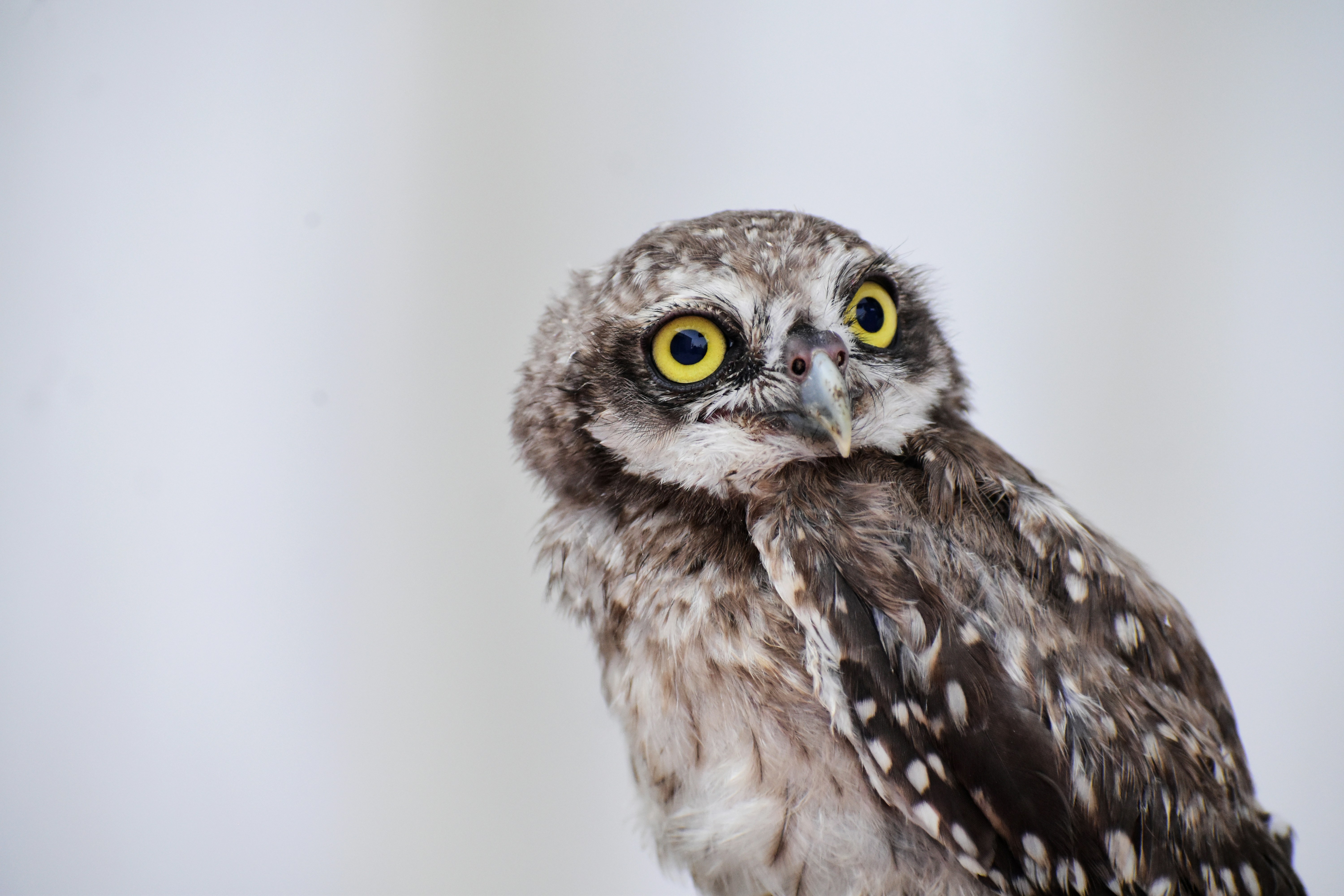 Photo by saurabhkumar4525