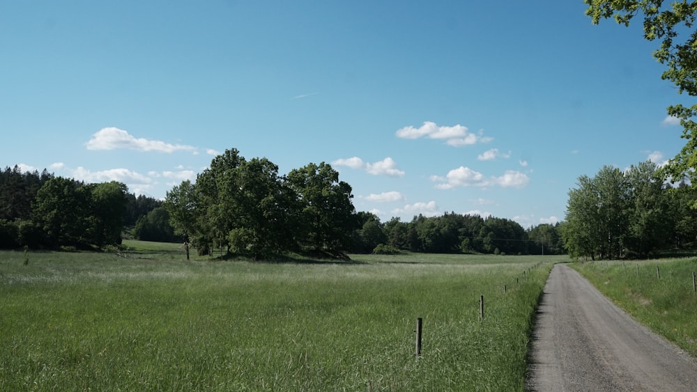 green grass field with trees under blue sky during daytime