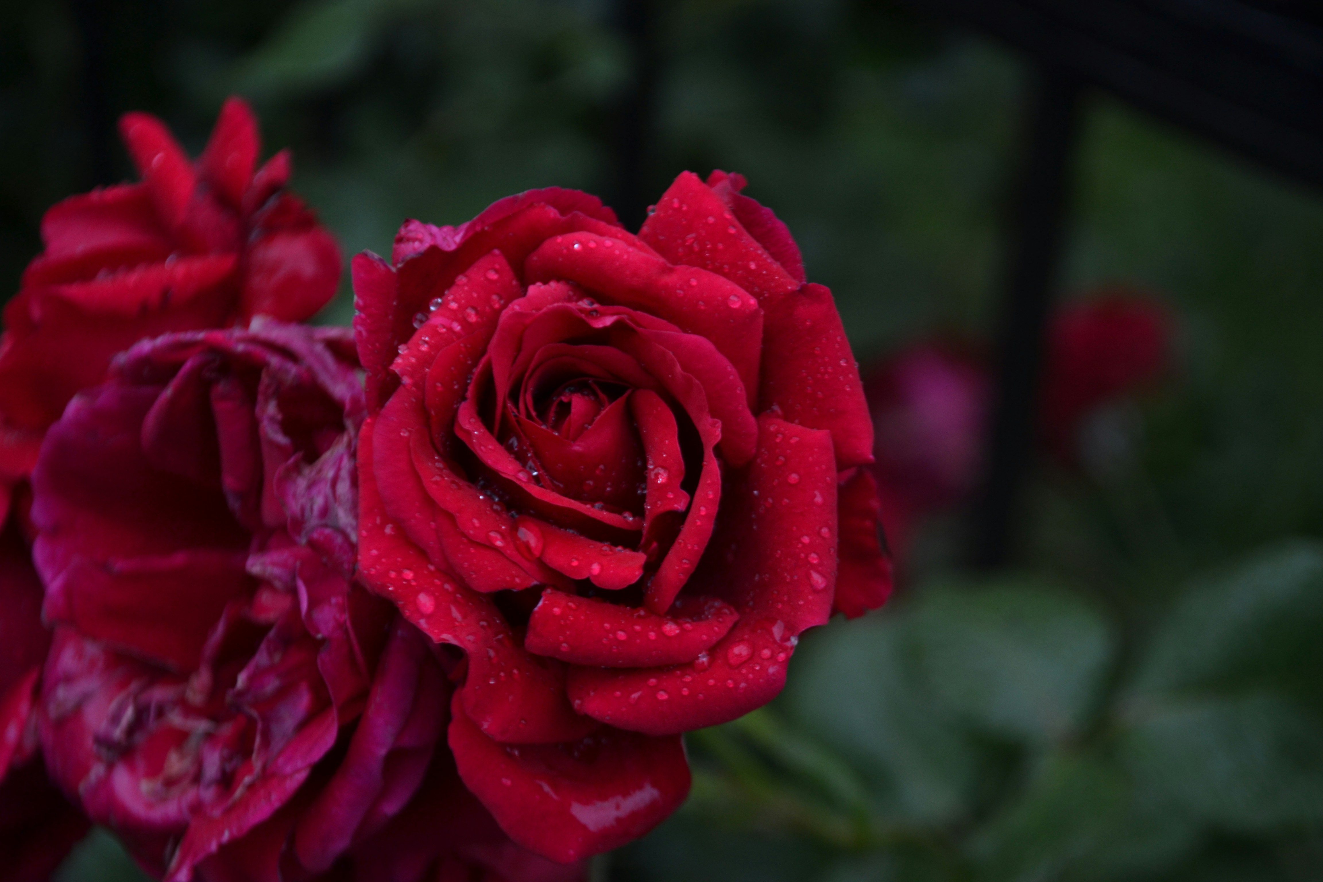 Photo by felixgething