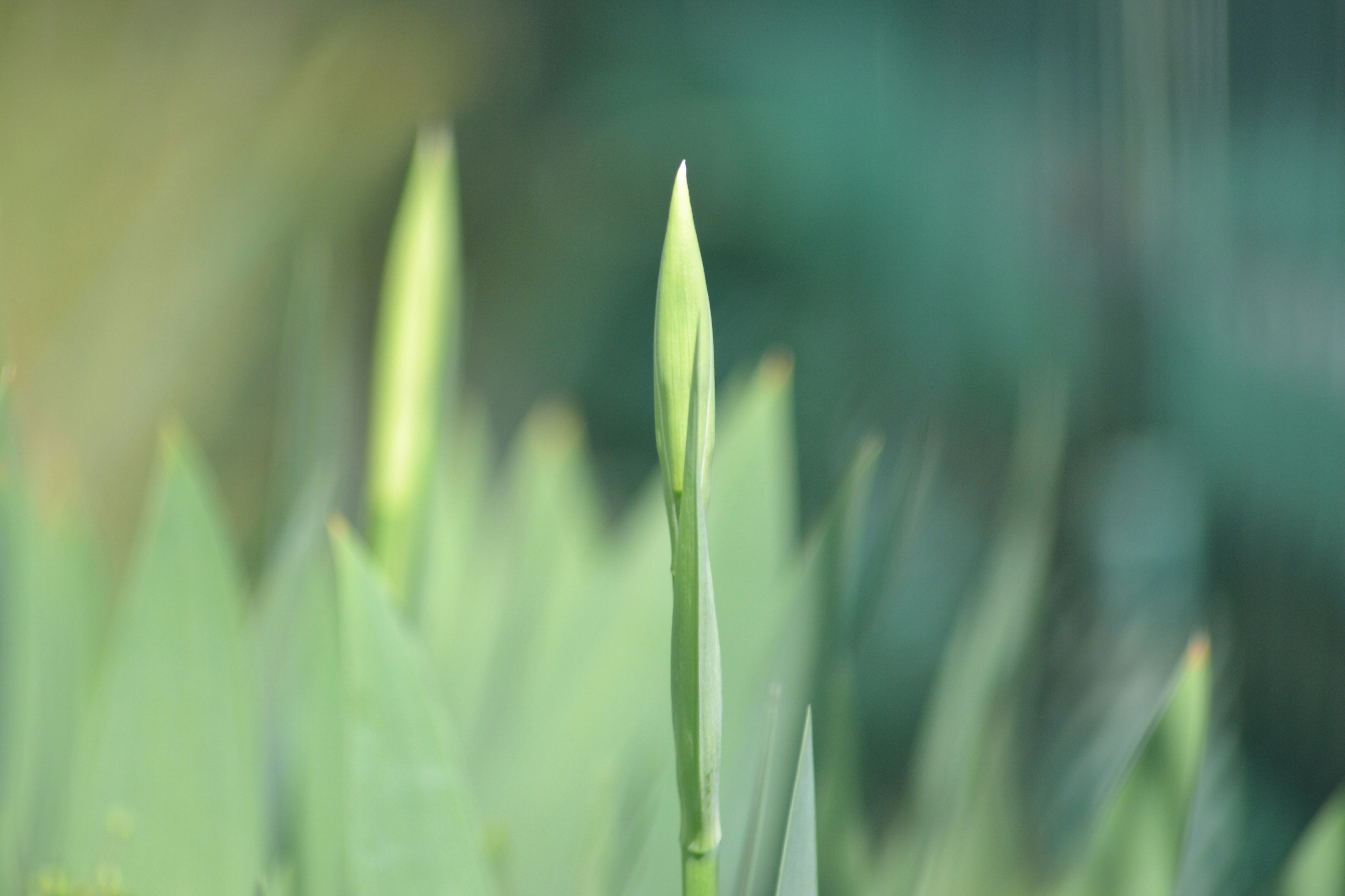 Photo by felixgething
