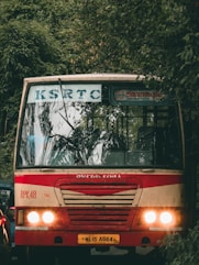 red and white bus on road during daytime