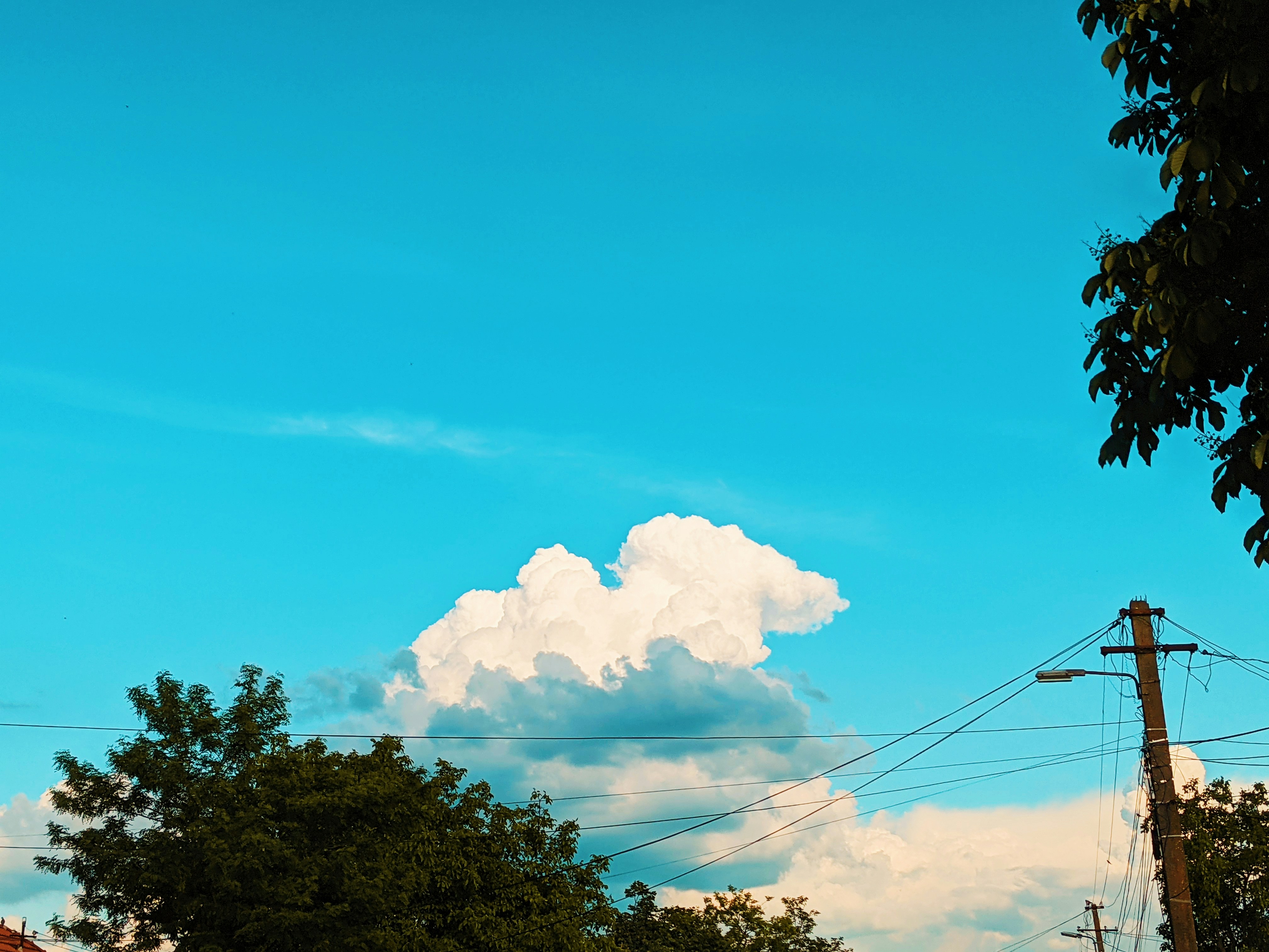 Photo by nicknice