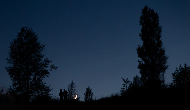 silhouettes de personnes debout dans la forêt la nuit