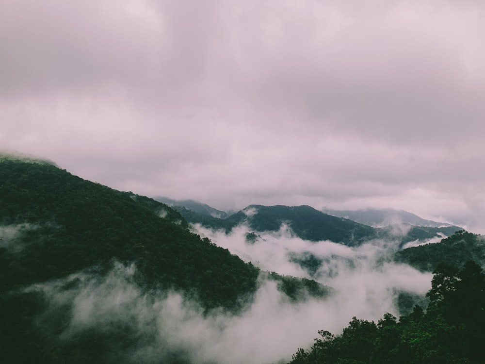 green trees on mountain under white clouds