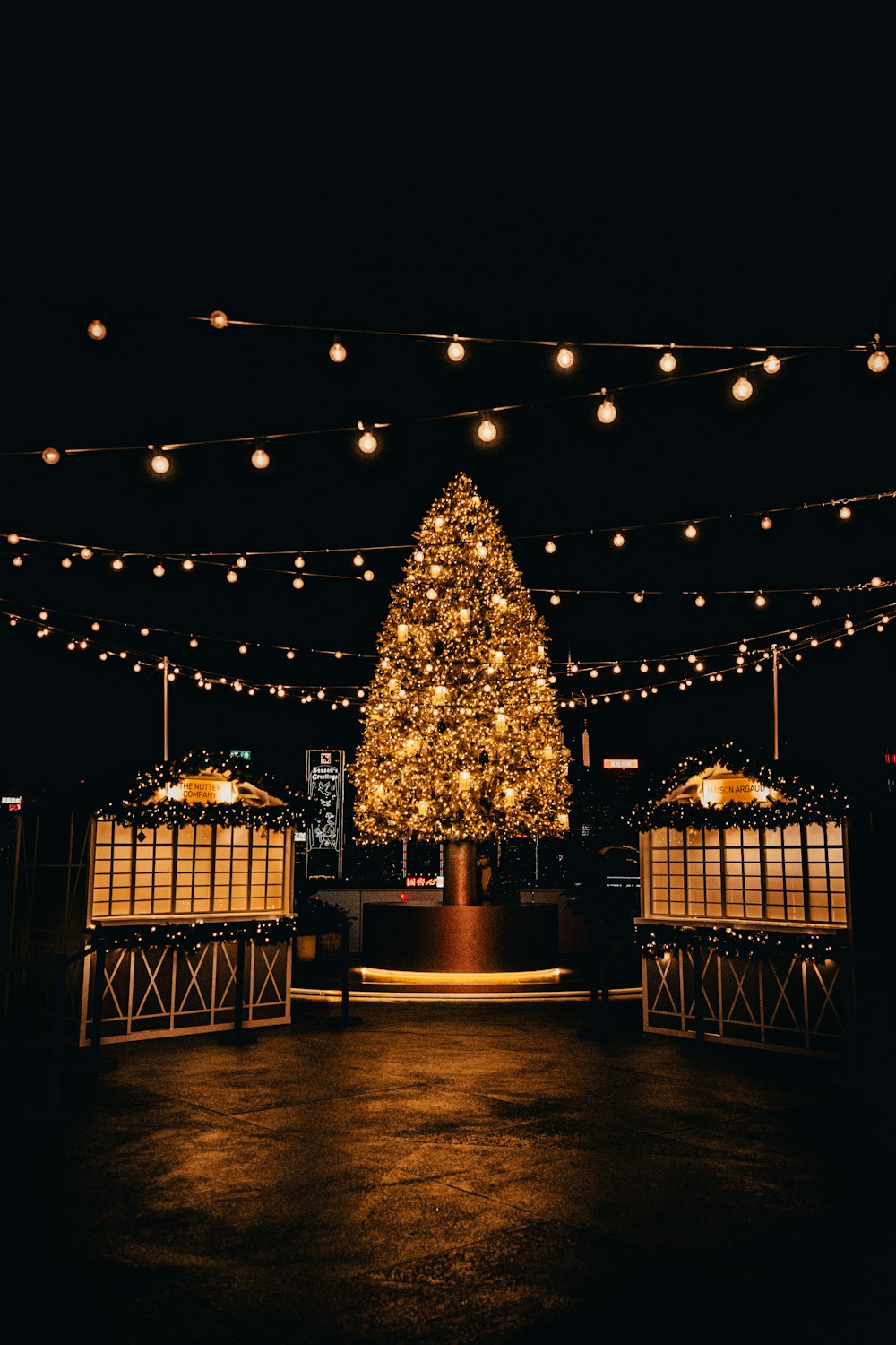 árvore de Natal com luzes de corda acesas durante a noite