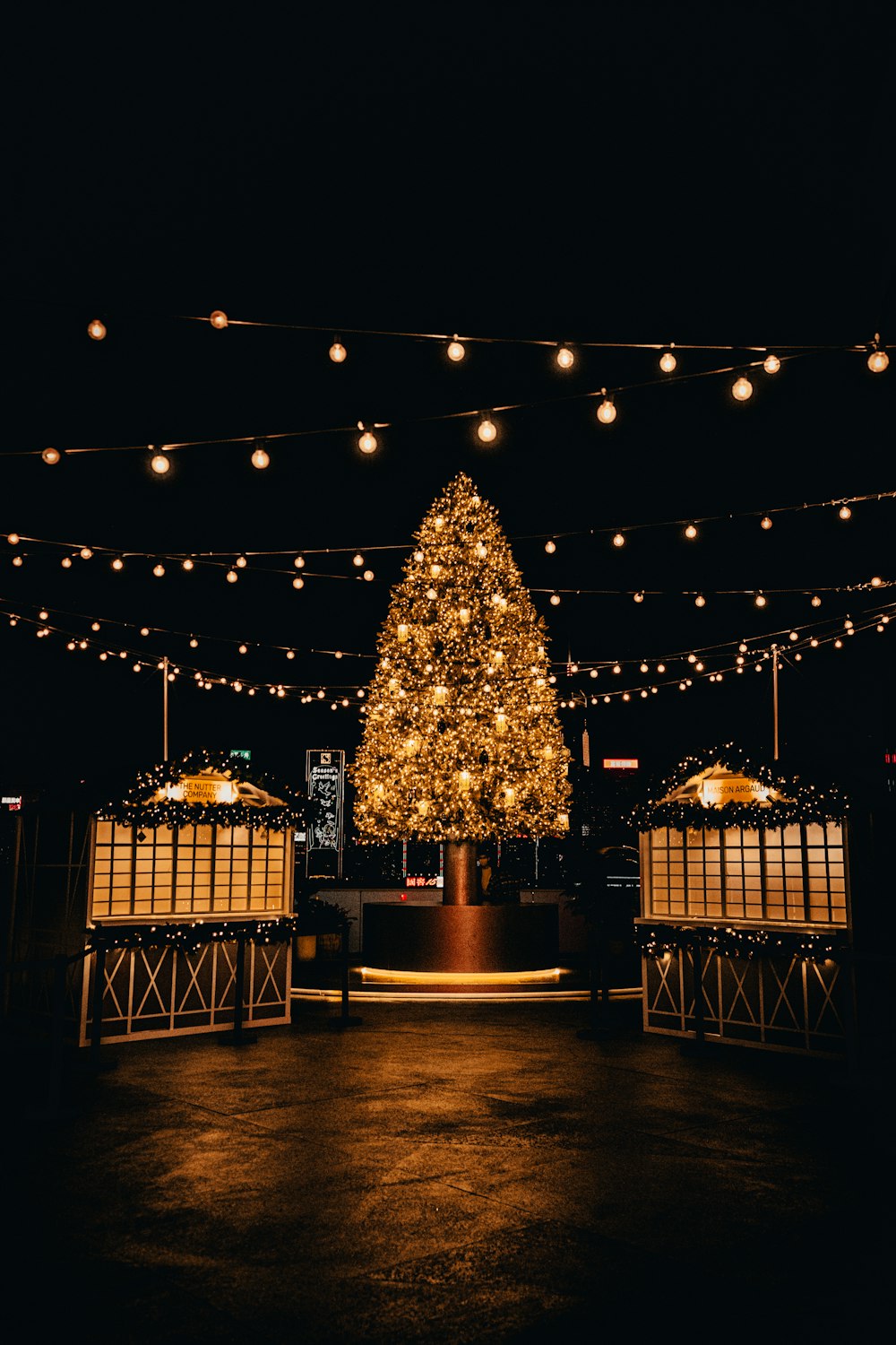 Árbol de Navidad con luces de cadena encendidas durante la noche