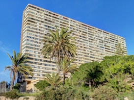 A tall residential building stands prominently against a clear blue sky, surrounded by lush greenery including several palm trees and dense shrubs.