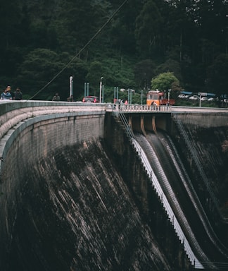 people walking on concrete bridge during daytime