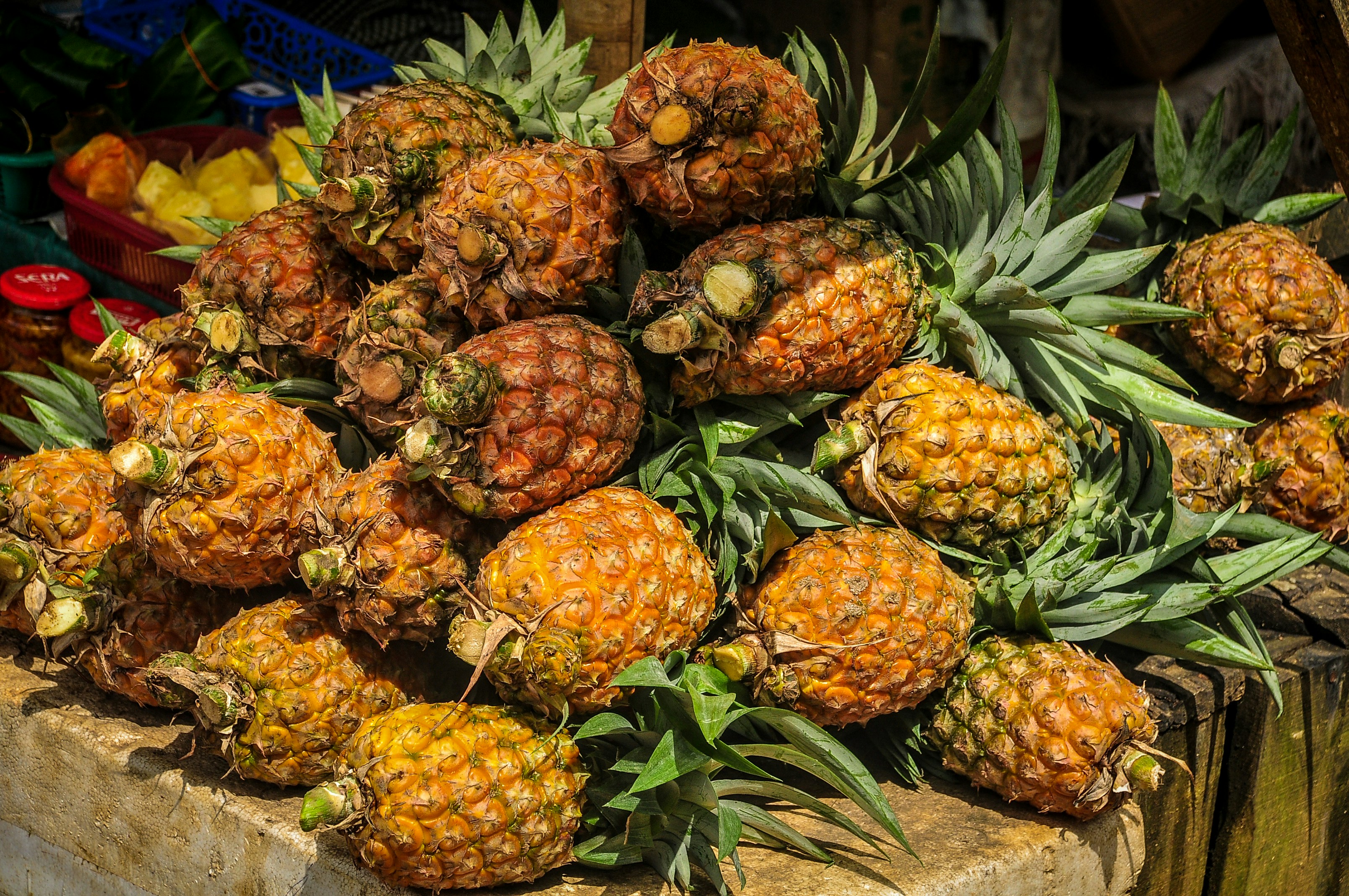 Photo by shirazhenry