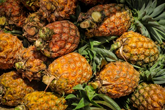 yellow and green pineapple fruits