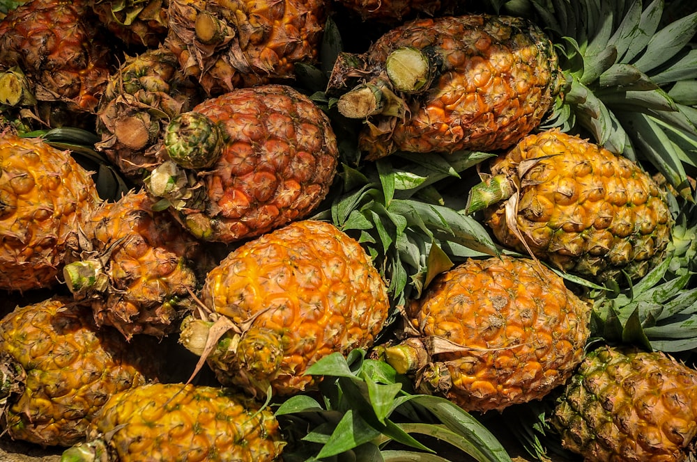 yellow and green pineapple fruits