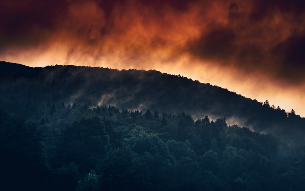 green trees on mountain under orange clouds