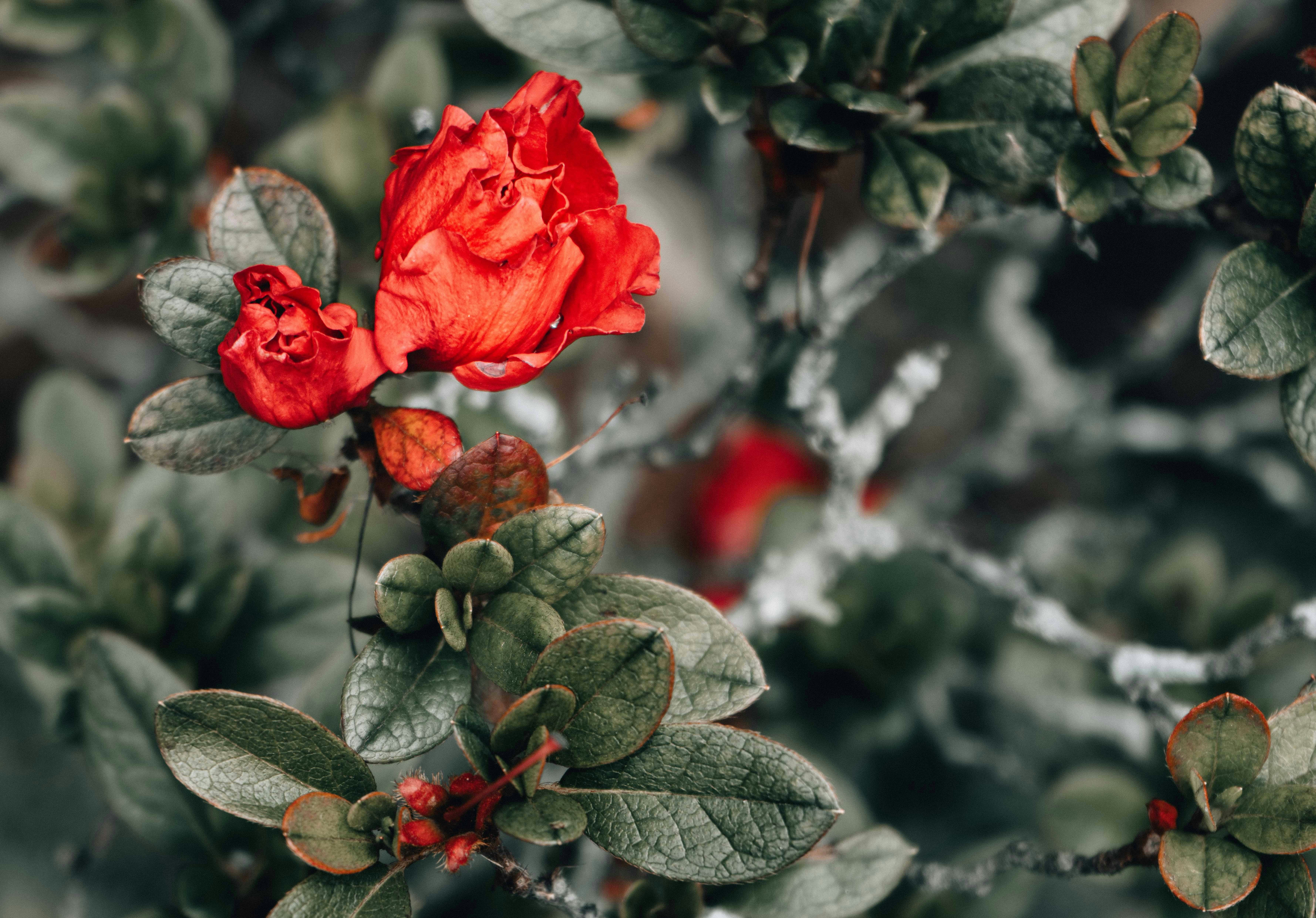 Photo by annastampfli