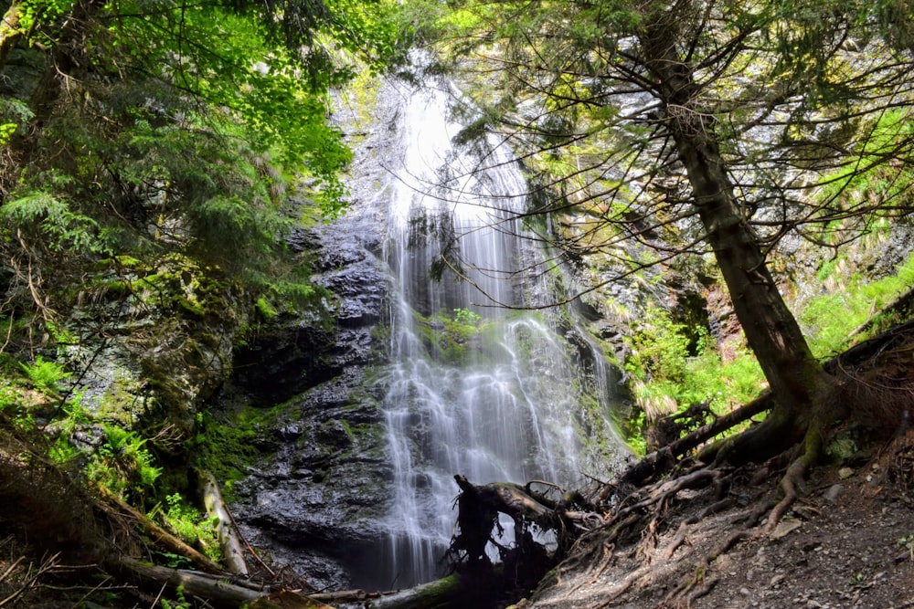 waterfalls in the middle of the forest