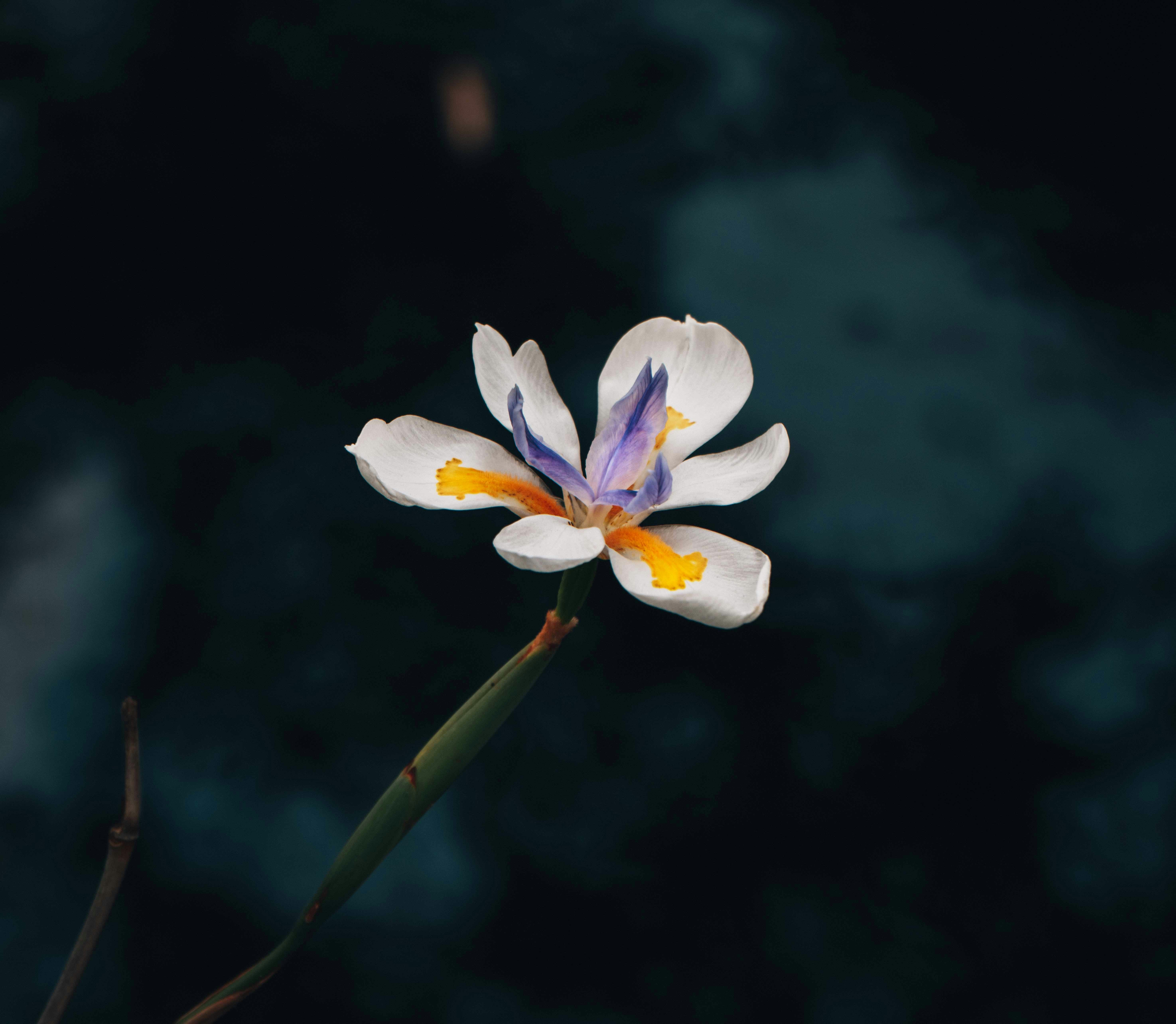 Photo by annastampfli