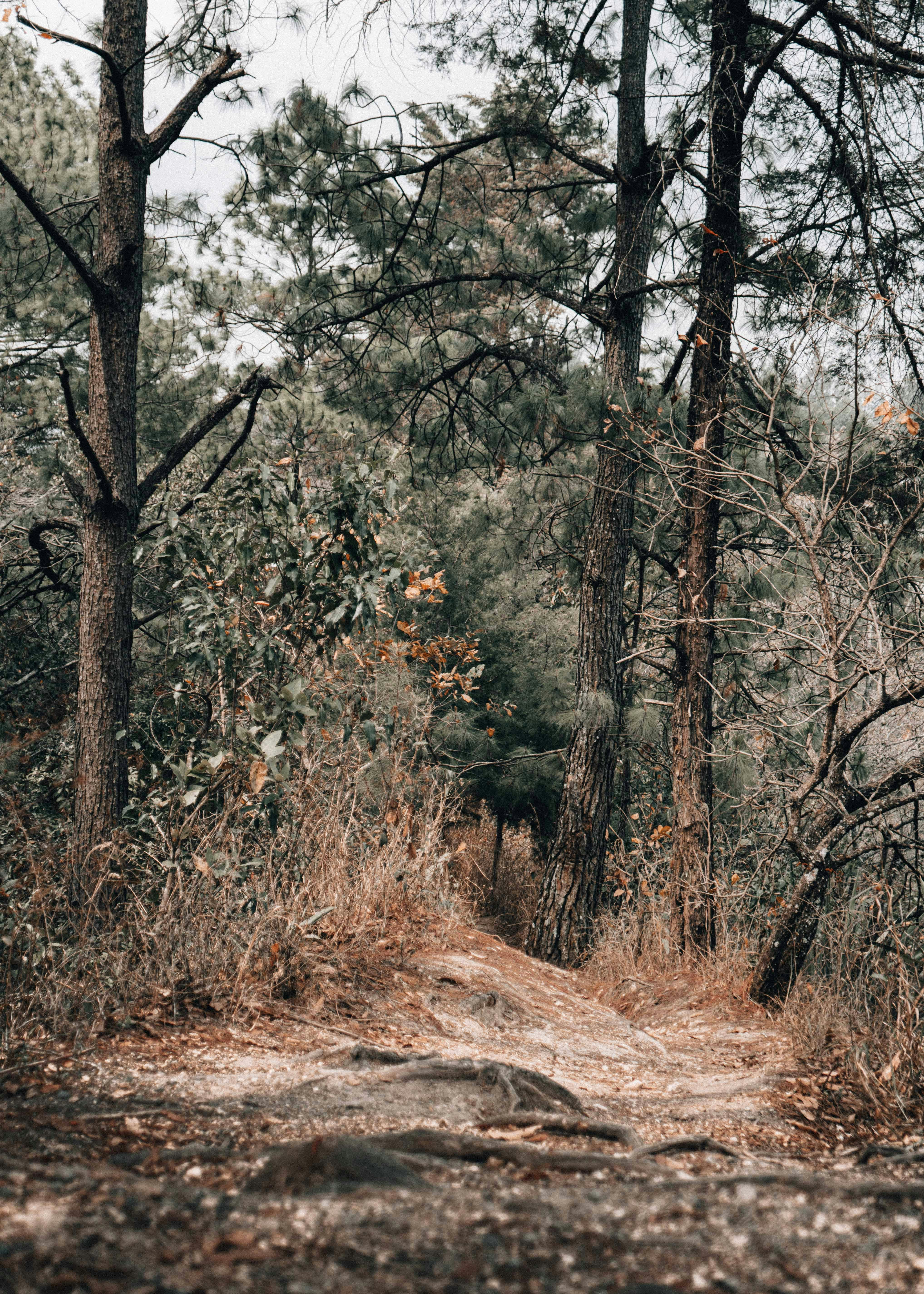 Photo by annastampfli