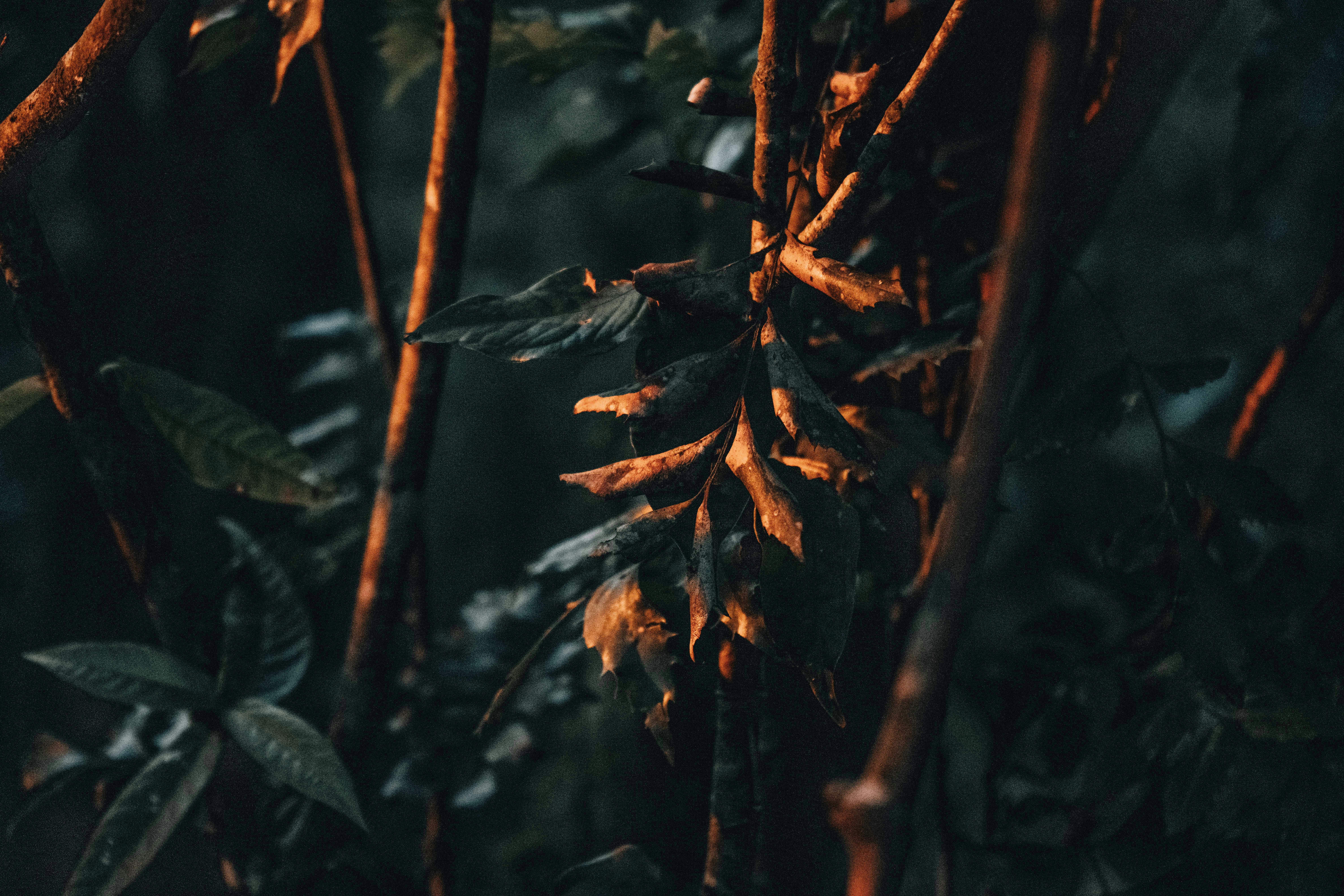 Photo by annastampfli