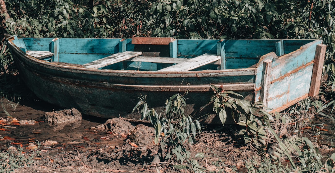 white and brown boat on brown soil
