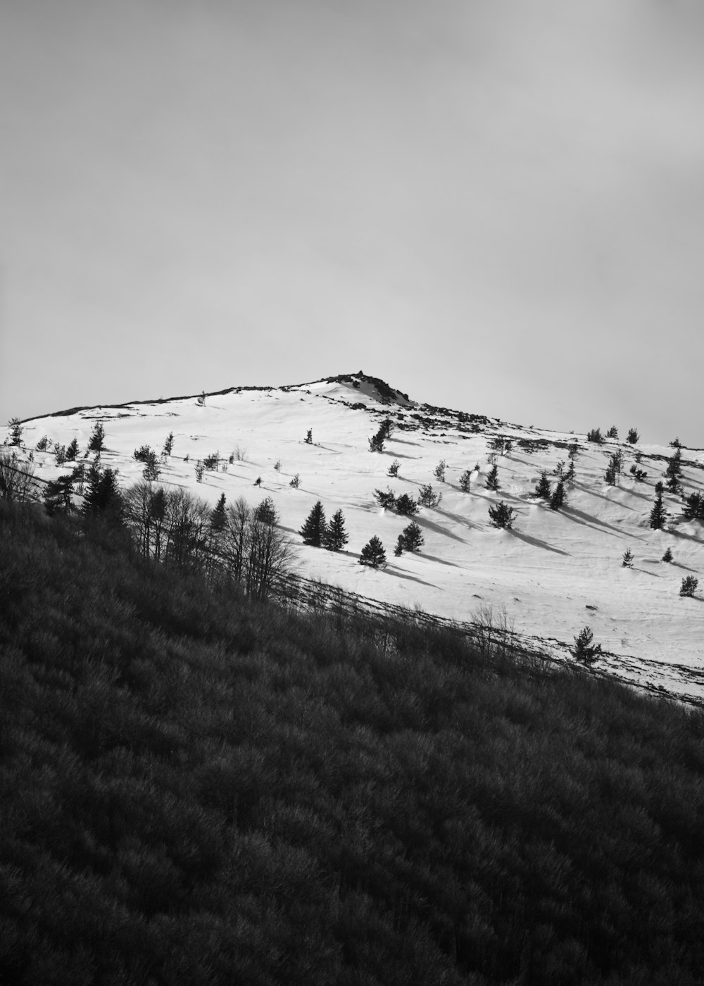 a black and white photo of a snowy mountain