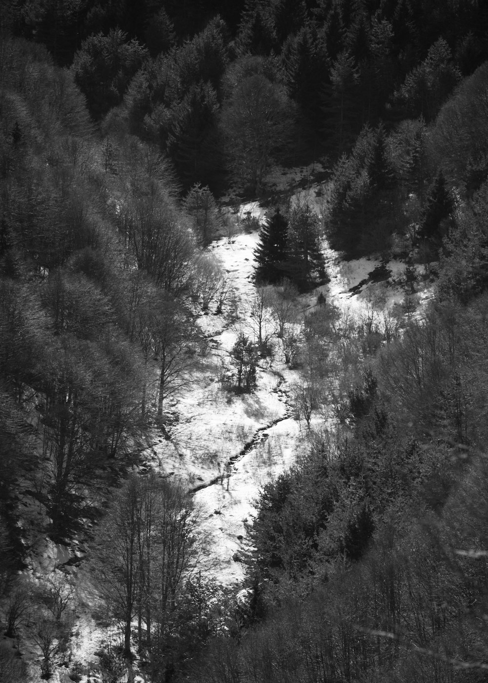 a black and white photo of a snow covered hillside