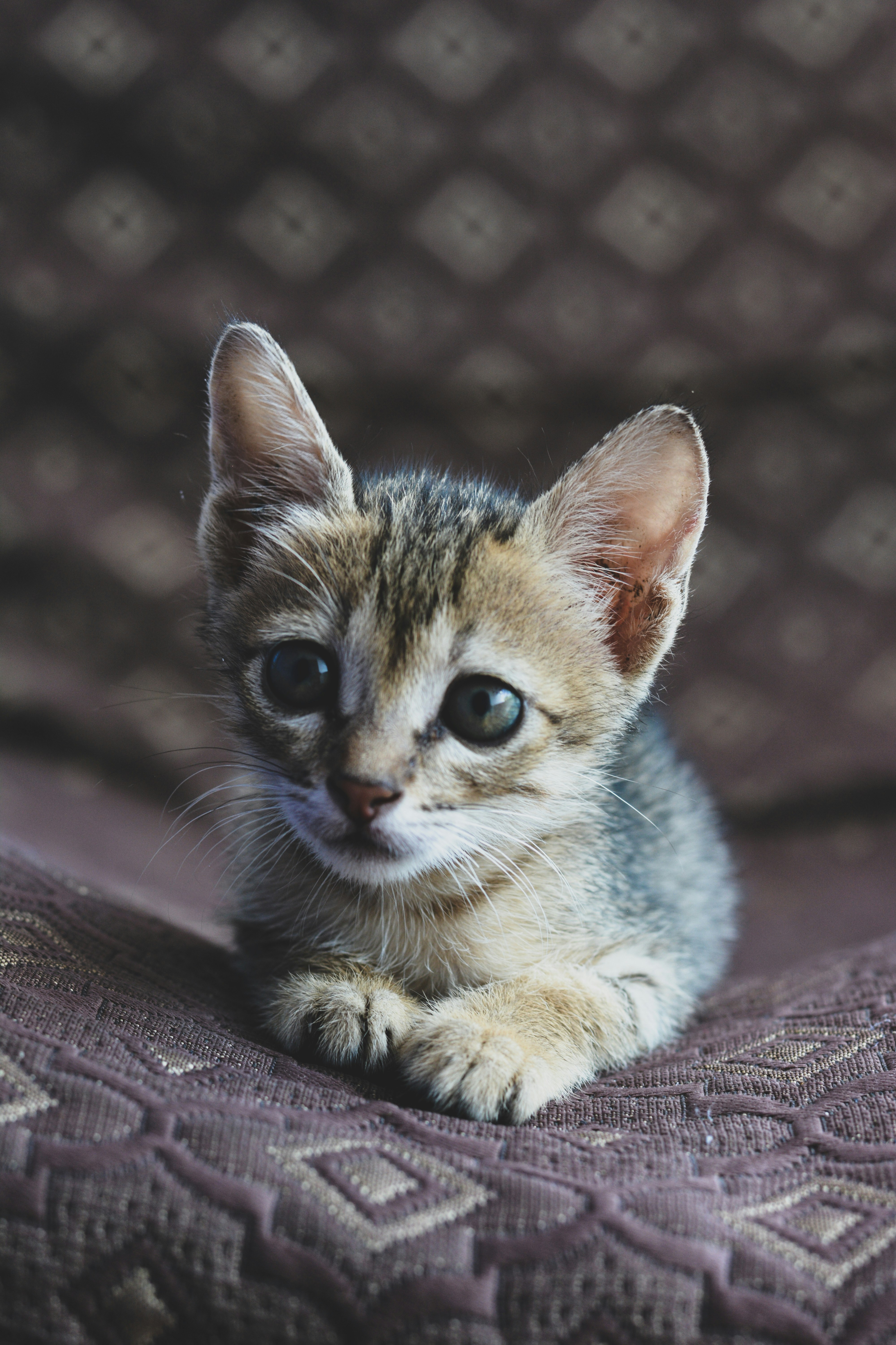 Photo by sanjanshetty