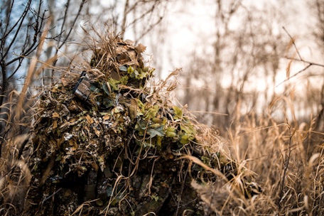 A person is wearing a ghillie suit, blending into the natural background of dry grass and sparse trees. The suit is covered in leaves and twigs, providing camouflage in the forested area.