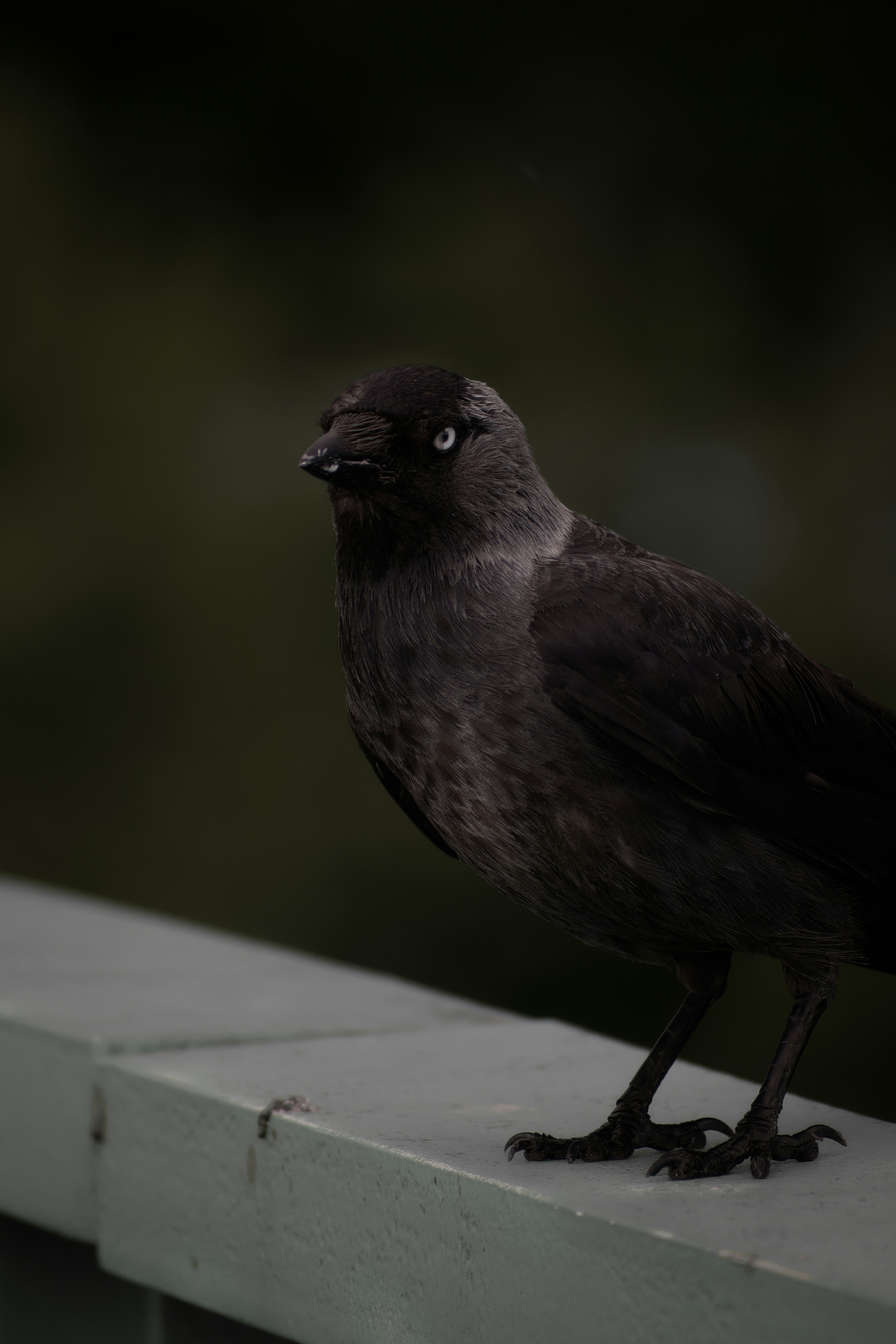 Photo by rostislavbudzan